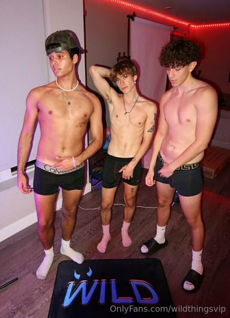 wildthingsvip art model images