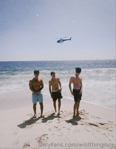 wildthingsvip pornstar nudes pictures