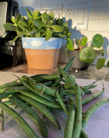 allyfromthesouth xxx model image