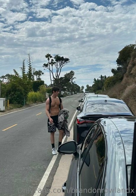 brandonrowlandx beautiful star images