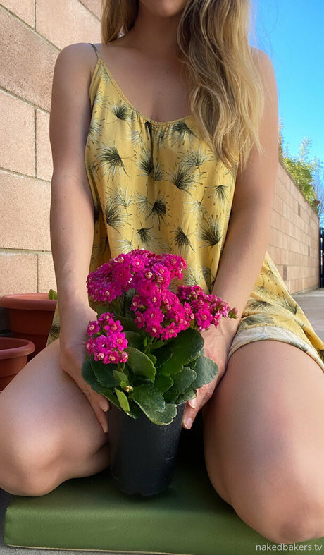 NakedBakers exclusive star pic