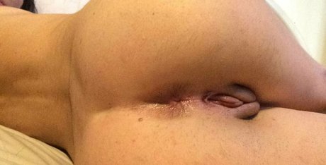 layla mayer porn actress photo