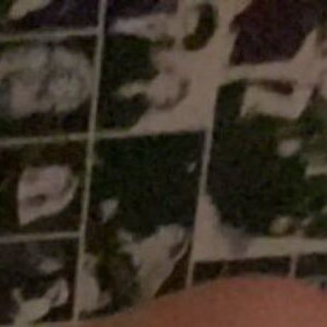 Thotlycrue naked pornstar pics