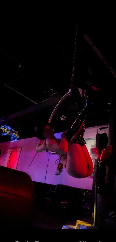 lilvelma free star gallery