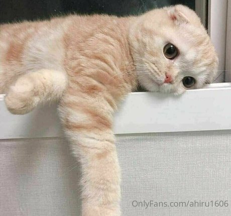 pregnant teacher onlyfans hd gallery