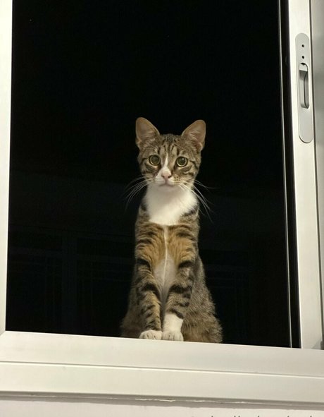 pixeljadearixela model free photos