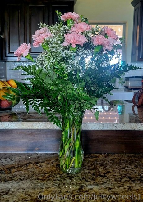 juicywheels1 perfect model picture