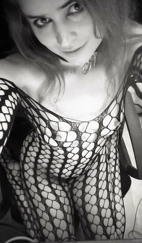 allythecat model art img