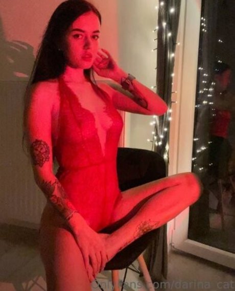 darina cat Profile pic