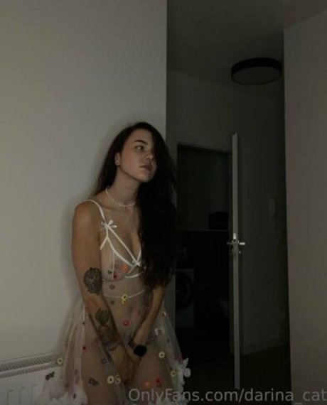 darina cat art model photos