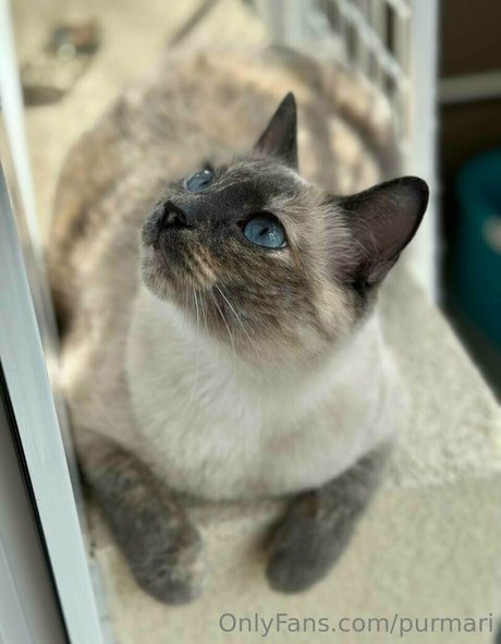 purmari actress photo