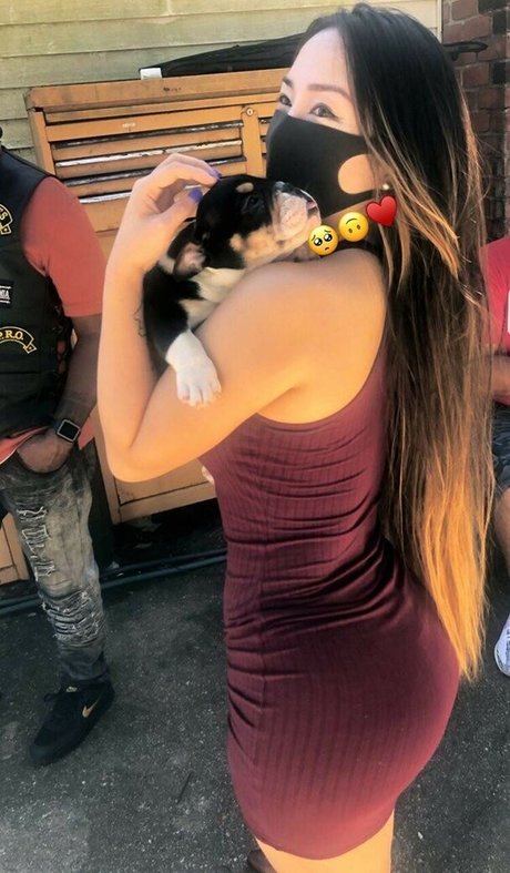 Dajinism Profile pic