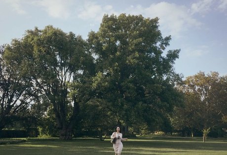 Dajinism star porn image