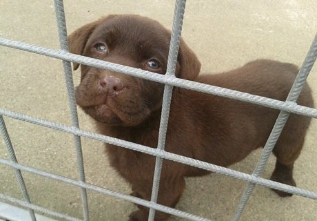 teen webcam onlyfans sexy nudes image