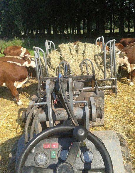 camping onlyfans naked pics