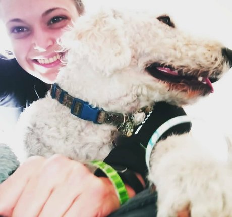 doitwithdaisy Profile pic