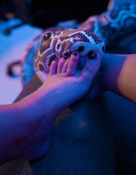 Anaisableal exclusive star archive