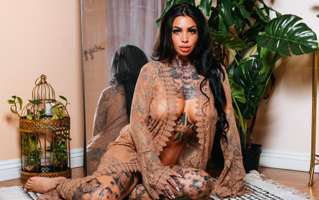 misscepha pornstar exclusive gallery