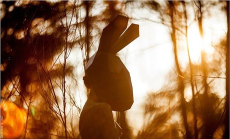 Oheekolts hot model picture