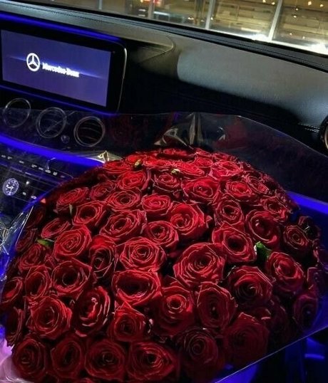 sophialauder sex actress images