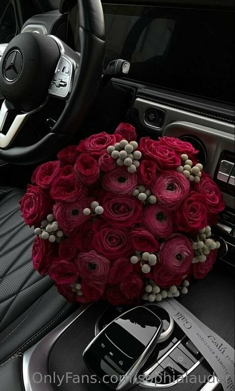 sophialauder erotic actress picture