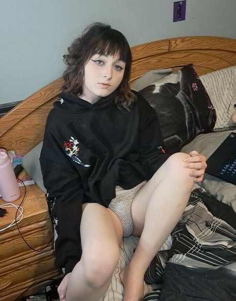 korvid snd model art archive