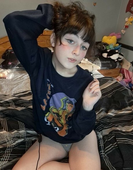 korvid snd pornstar adult img