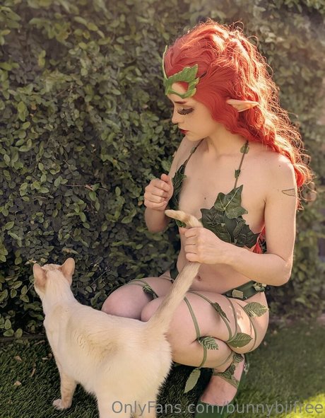 bunnybiifree star high quality galleries