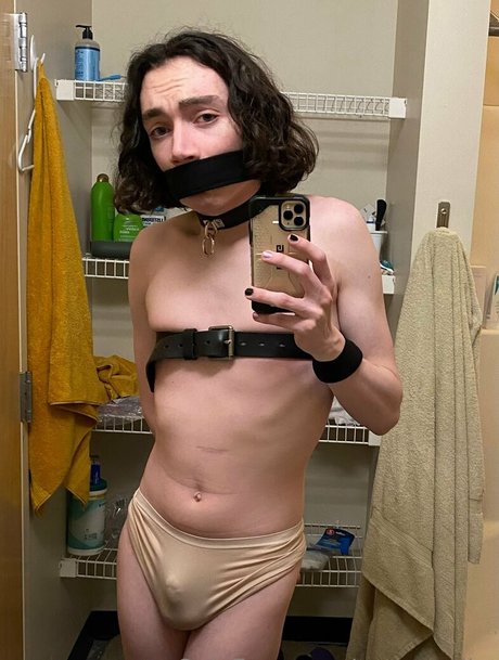 catsnvodka exclusive pornstar galleries