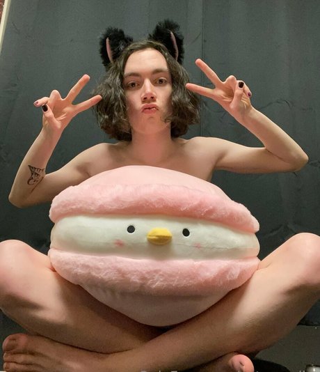 catsnvodka star gallery