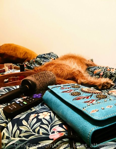 chloe loves attention model exclusive pic