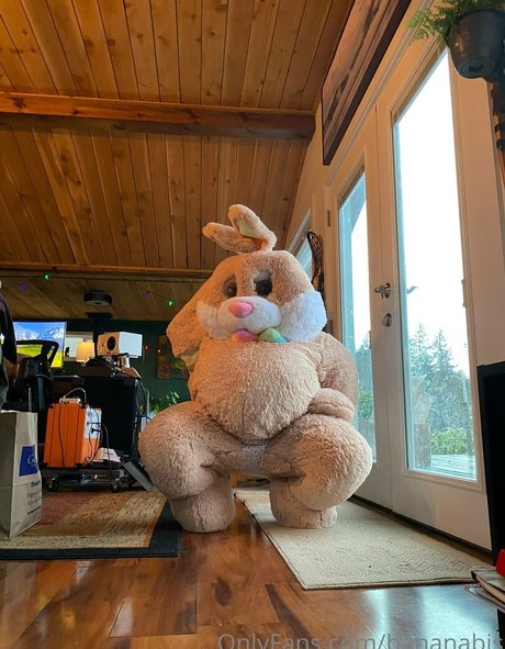 bananabis best star galleries