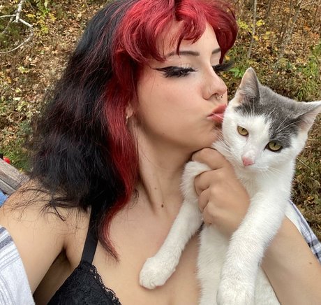 serendipitoussav beautiful star pics