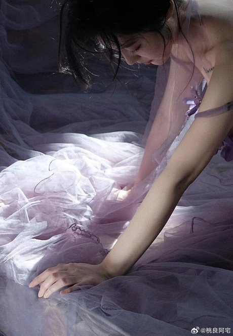 Taoliangazhai star top gallery