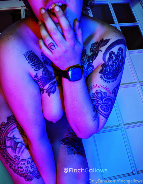 finchgallows star top pictures