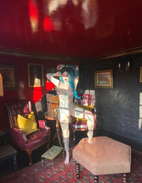 Katsandcrows star best image