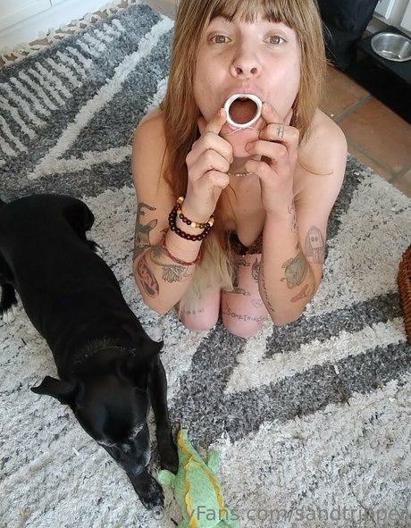 sandtripper pornographic model pics