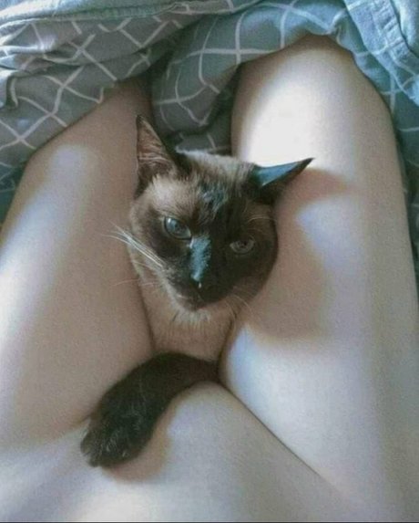 Yuusachii top pornstar pics