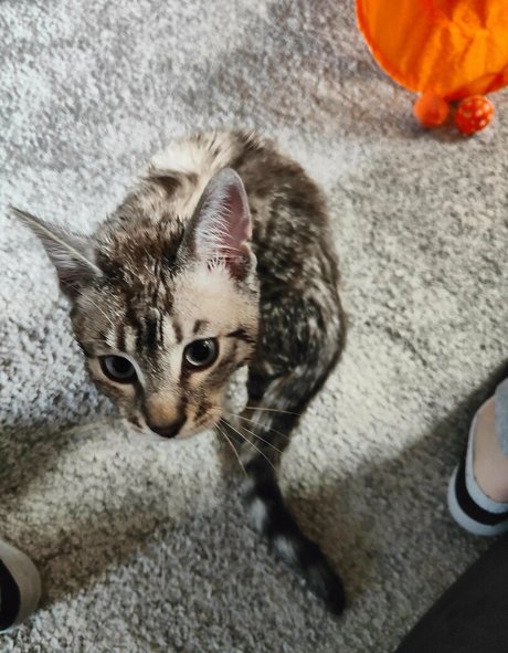 redhead ass onlyfans adult photos