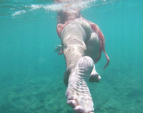 hot naked onlyfans beautiful nude pics