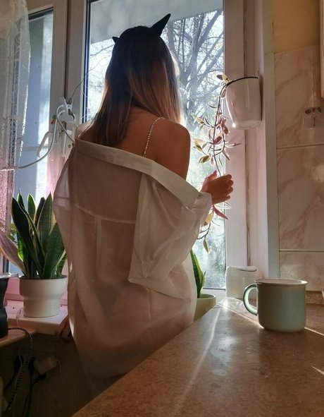 cuckquean onlyfans exclusive archive