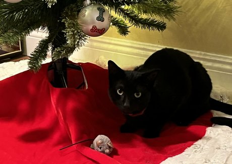 sexting onlyfans exclusive images