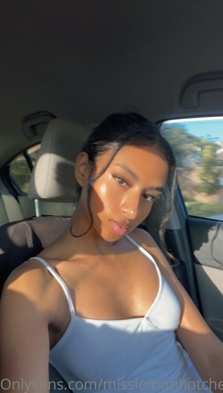 theultimatedeciever pornstar perfect archive