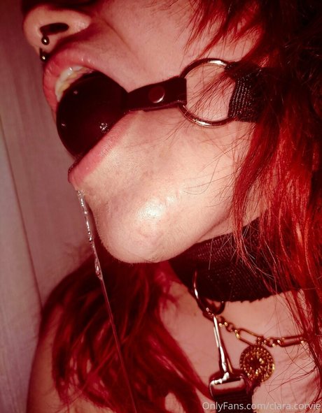 clara corvie model porn galleries