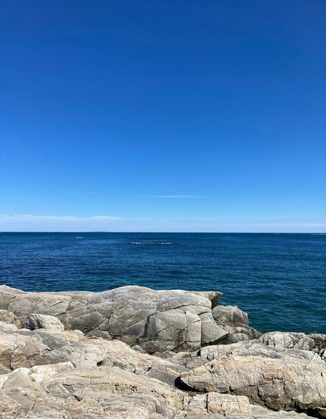 rckyshow free pornstar pictures