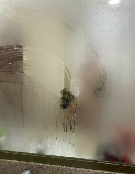 Hannaasmithhh_ star sex picture