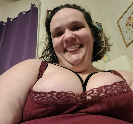 toasterd star adult picture