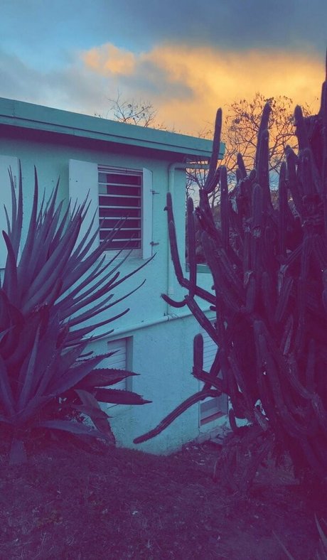 ravenhex3 model picture