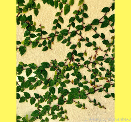 sex scene onlyfans beautiful porn photo