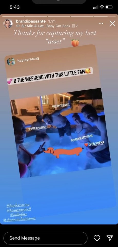 Brandi Passante star art image